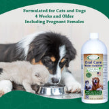 MAD ABOUT ORGANICS - Mad About Organics Oral Care Water Additive for Cats & Dogs Fresh Mint Flavor 946Ml. - The Red Vitamin MX - Cuidado Dental Para Perros - {{ shop.shopifyCountryName }}