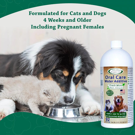 MAD ABOUT ORGANICS - Mad About Organics Oral Care Water Additive for Cats & Dogs Fresh Mint Flavor 946Ml. - The Red Vitamin MX - Cuidado Dental Para Perros - {{ shop.shopifyCountryName }}