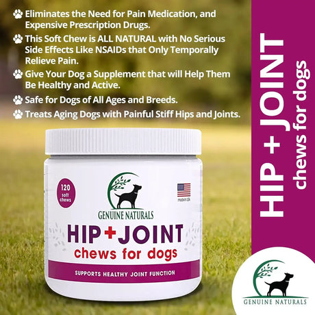 GENUINE NATURALS - Genuine Naturals Hip and Joint Supplement for Dogs 120 Masticables - The Red Vitamin MX - Cuidado De Cadera Y Articulaciones Para Perros - {{ shop.shopifyCountryName }}