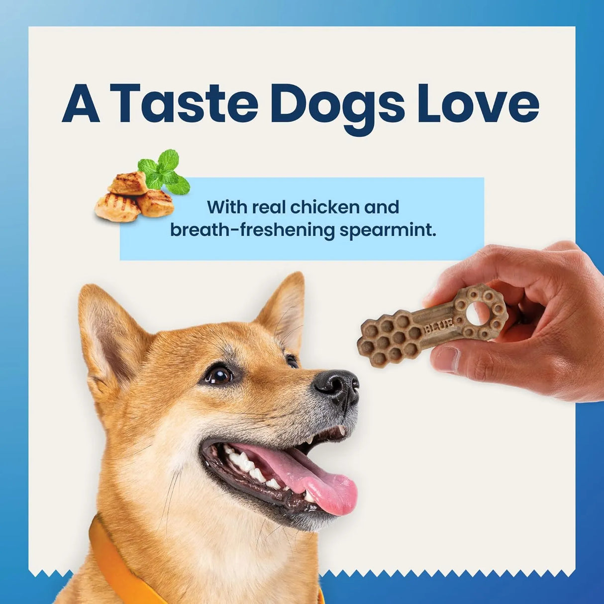 BLUE BUFFALO - Blue Buffalo Dental Chews Medium Natural Dog Treats Chicken & Spearmint 28 Piezas - The Red Vitamin MX - Cuidado Dental Para Perros - {{ shop.shopifyCountryName }}