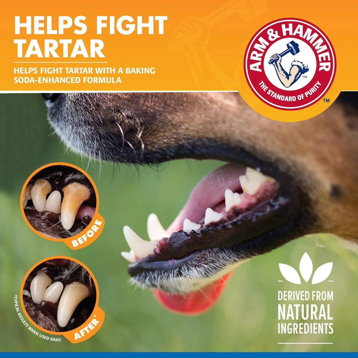 ARM & HAMMER - Arm & Hammer for Pets Tartar Control Dental Spray for Dogs 118Ml. - The Red Vitamin MX - Cuidado Dental Para Perros - {{ shop.shopifyCountryName }}