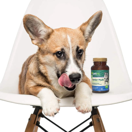 PETNC - PetNC Natural Care Senior Multi Chewables for Dogs 60 Masticables - The Red Vitamin MX - Multivitamínicos Para Perros - {{ shop.shopifyCountryName }}