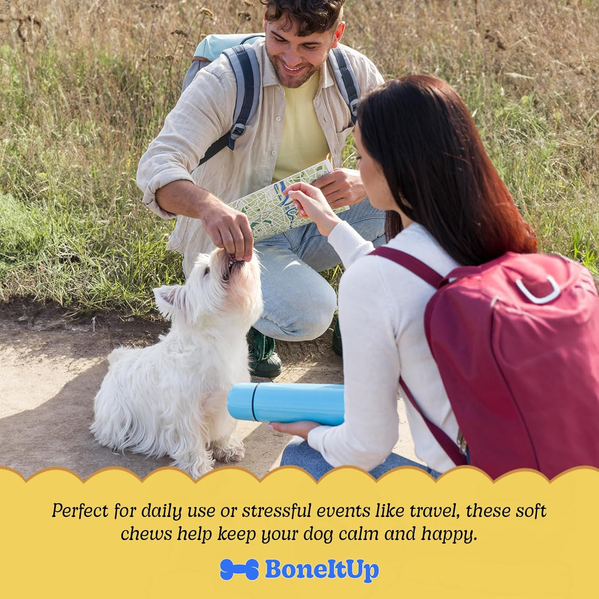 BoneItUp Pet Calming Chews for Dogs 90 Masticables