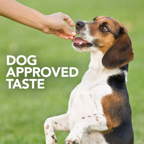 VET'S BEST - Vet's Best Probiotic Soft Chews Dog 90 Masticables - The Red Vitamin MX - Probióticos Para Perros - {{ shop.shopifyCountryName }}