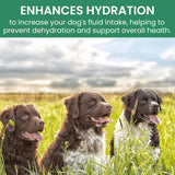 HOLISTIC BIN - HOLISTIC BIN Canine Gut Biome Powder 50Gr. - The Red Vitamin MX - Probióticos Para Perros - {{ shop.shopifyCountryName }}