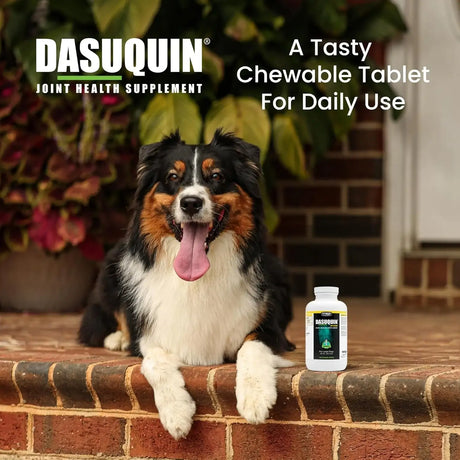 NUTRAMAX - Nutramax Dasuquin with MSM Chewables Large Dog 150 Tabletas Masticables - The Red Vitamin MX - Cuidado De Cadera Y Articulaciones Para Perros - {{ shop.shopifyCountryName }}