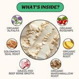 FIDO'S - Fido's Mobility Bone Broth for Dogs 60 Servicios 184Gr. - The Red Vitamin MX - Suplementos Herbales Para Perros - {{ shop.shopifyCountryName }}