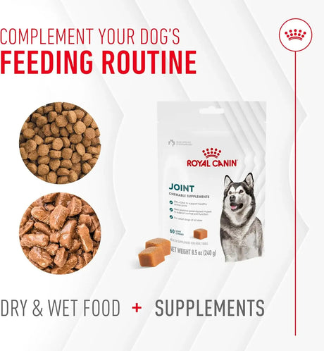 ROYAL CANIN - Royal Canin Joint Supplement Soft Chews for Adult Dogs 60 Masticables - The Red Vitamin MX - Cuidado De Cadera Y Articulaciones Para Perros - {{ shop.shopifyCountryName }}