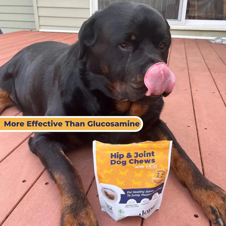 JOPE - Jope Hip and Joint Dog Chews with UC-II Collagen 60 Masticables - The Red Vitamin MX - Cuidado De Cadera Y Articulaciones Para Perros - {{ shop.shopifyCountryName }}