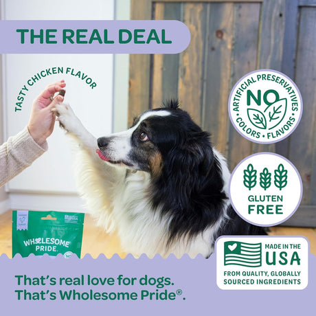 WHOLESOME PRIDE - Wholesome Pride Hip & Joint Supplement for Dogs 90 Masticables - The Red Vitamin MX - Cuidado De Cadera Y Articulaciones Para Perros - {{ shop.shopifyCountryName }}