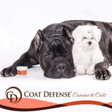 COAT DEFENSE - COAT DEFENSE Trouble Spot Drying Paste 5 Oz. - The Red Vitamin MX - Remedios Para La Picazón De Perros - {{ shop.shopifyCountryName }}