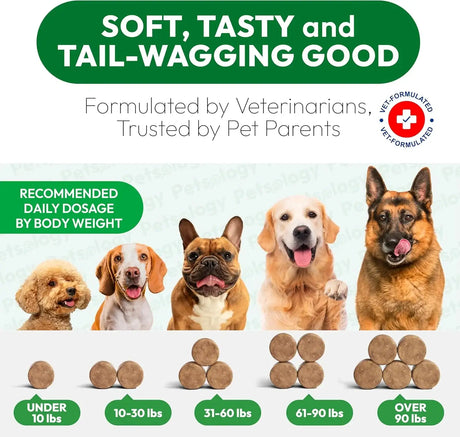 PETSOLOGY - Petsology Dog Urine Neutralizer for Lawn 170 Masticables - The Red Vitamin MX - Salud De Tracto Urinario Para Perros - {{ shop.shopifyCountryName }}