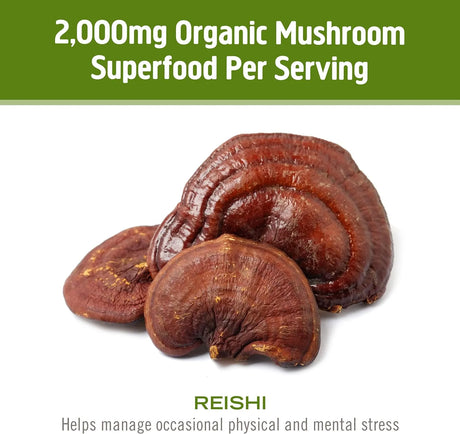 OM - Om Mushroom Superfood Reishi Organic Mushroom Powder 100Gr. - The Red Vitamin MX - Suplementos Alimenticios - {{ shop.shopifyCountryName }}