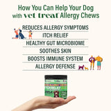 VET TREAT - Vet Treat Dog Allergy Relief Chews 120 Masticables - The Red Vitamin MX - Remedios Para La Picazón De Perros - {{ shop.shopifyCountryName }}