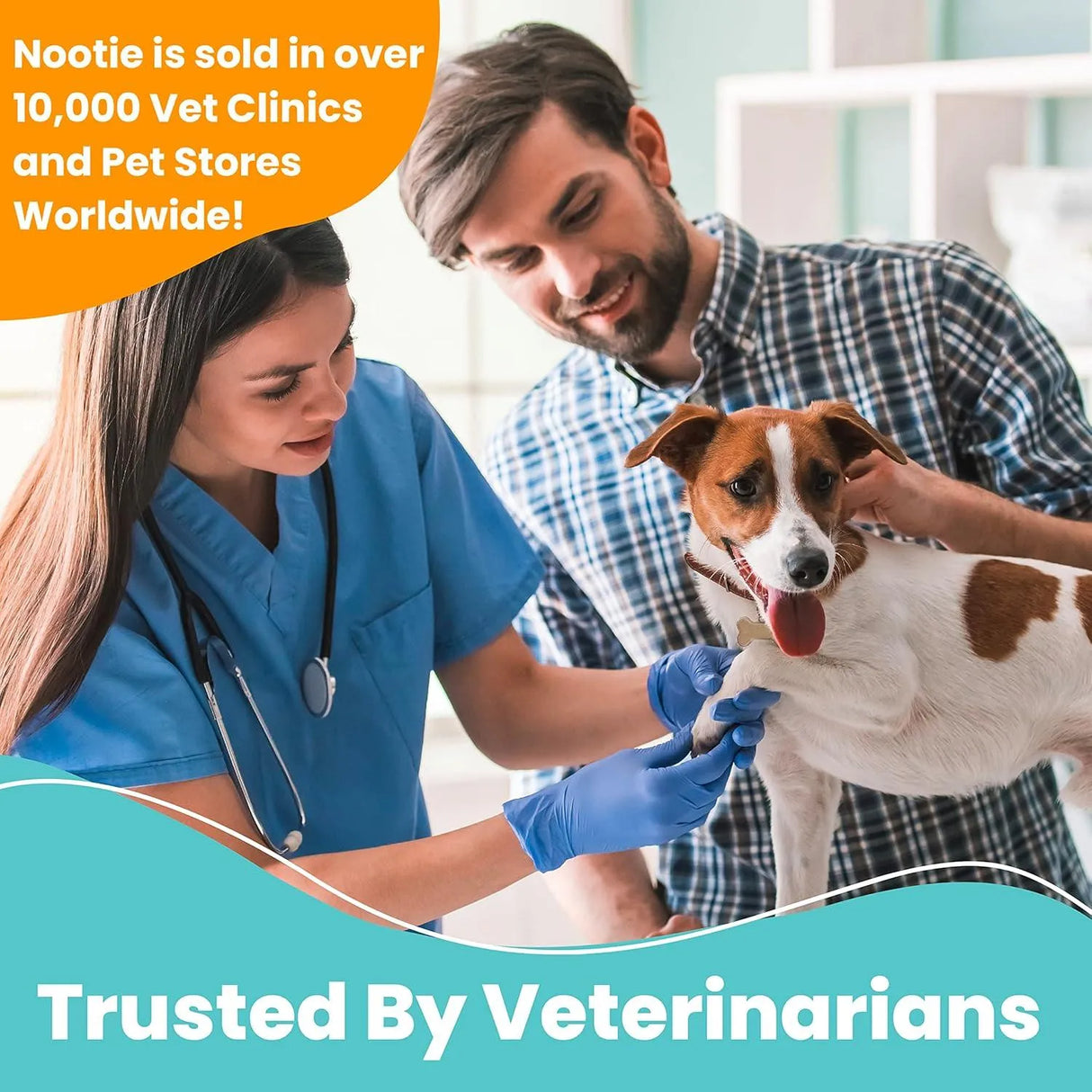 NOOTIE - Nootie Medicated Dental Wipes for Dogs 60 Piezas - The Red Vitamin MX - Cuidado Dental Para Perros - {{ shop.shopifyCountryName }}