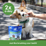 ARK NATURALS - Ark Naturals Brushless Toothpaste Dog Dental Chews for Medium Breeds 508Gr. - The Red Vitamin MX - Cuidado Dental Para Perros - {{ shop.shopifyCountryName }}