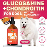 CHEWY MAX - Chewy Max Hip and Joint Supplement 2 Fl.Oz. - The Red Vitamin MX - Cuidado De Cadera Y Articulaciones Para Perros - {{ shop.shopifyCountryName }}