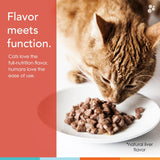 NUSENTIA Liquid Vitamin & Antioxidant Supplement for Cats 473Ml.