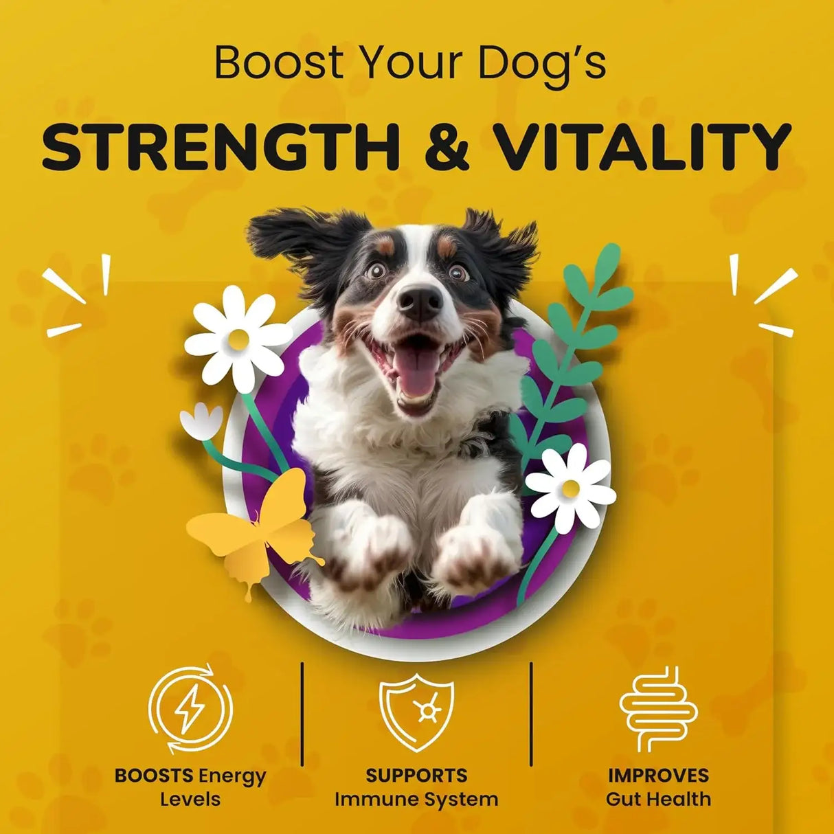 PETMADE - PETMADE Longevity Formula Turkey Tail Mushroom Antioxidant Dog 150Gr. - The Red Vitamin MX - Suplementos Herbales Para Perros - {{ shop.shopifyCountryName }}