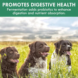 HOLISTIC BIN - HOLISTIC BIN Canine Fermented Farm Supplement Powder 50Gr. - The Red Vitamin MX - Suplementos Herbales Para Perros - {{ shop.shopifyCountryName }}