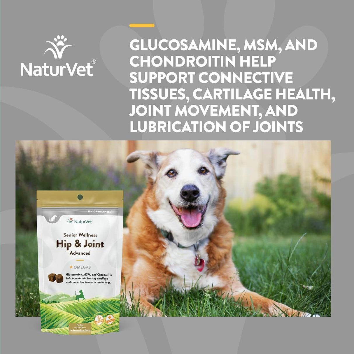 NaturVet Senior Wellness Hip & Joint Advanced Plus Omegas 120 Masticables