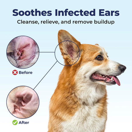 VETNIQUE - Vetnique Oticbliss Ear Flush Medicated Dog Ear Infection Treatment 12 Fl.Oz. - The Red Vitamin MX - Cuidado Del Oído De Perros - {{ shop.shopifyCountryName }}