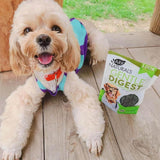 ARK NATURALS Gentle Digest Soft Chews 120 Masticables