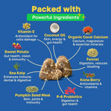HAPPY PAWS - Happy Paws Probiotic Gut Health Support for Dogs 100 Masticables 2 Pack - The Red Vitamin MX - Probióticos Para Perros - {{ shop.shopifyCountryName }}