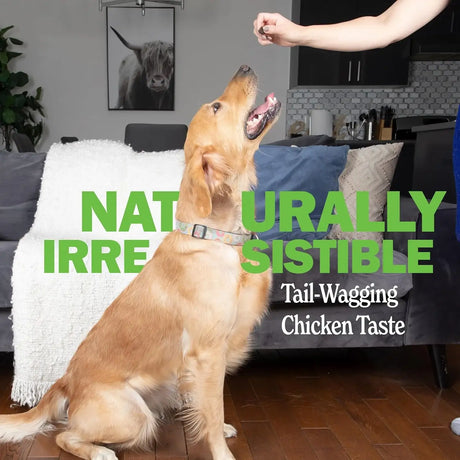 DELEY NATURALS - Deley Naturals Dog UTI Prevention 120 Masticables - The Red Vitamin MX - Salud De Tracto Urinario Para Perros - {{ shop.shopifyCountryName }}