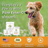 Wholistic Pet Organics Pure Ester-C Powder for Dogs 113Gr.