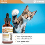 iVitamins Glucosamine for Cats Chicken Flavor 1 Fl.Oz.