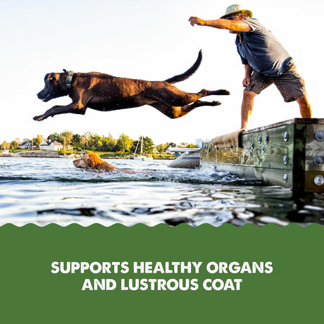 GRIZZLY PET - Grizzly Pet Products Algal Plus Omega 3-6-9 for Dogs and Cats 8 Fl.Oz. - The Red Vitamin MX - Aceite De Pescado Para Perros - {{ shop.shopifyCountryName }}