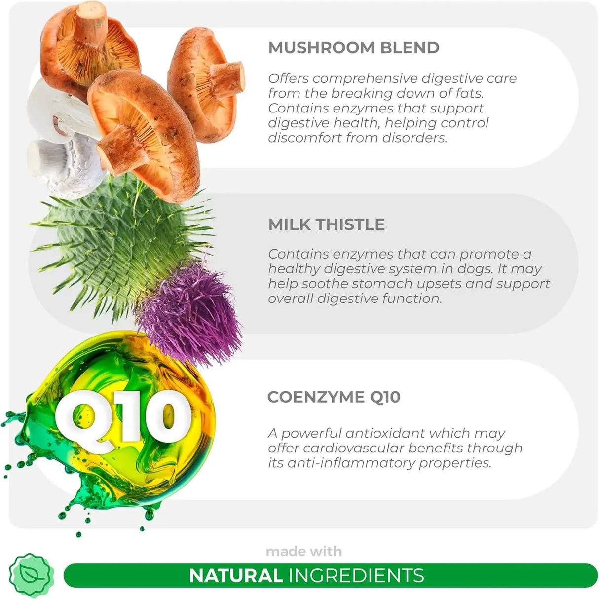 COCO AND LUNA - Coco and Luna Mushroom Complex for Dogs 90 Masticables - The Red Vitamin MX - Suplementos Herbales Para Perros - {{ shop.shopifyCountryName }}