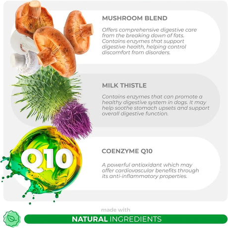 COCO AND LUNA - Coco and Luna Mushroom Complex for Dogs 90 Masticables - The Red Vitamin MX - Suplementos Herbales Para Perros - {{ shop.shopifyCountryName }}