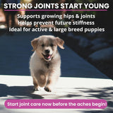 Under the Weather Pet Hip & Joint Chews for Dogs 60 Masticables