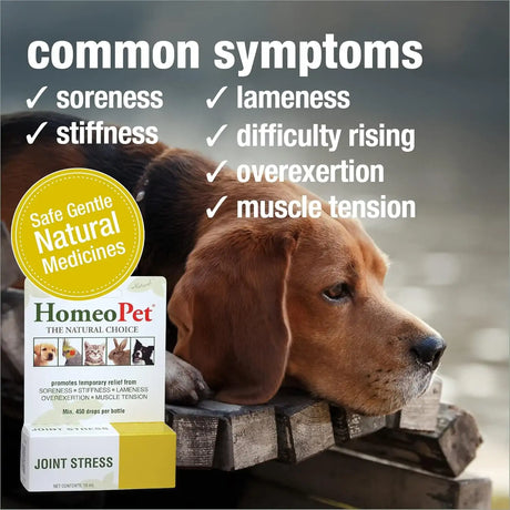 HOMEOPET - HomeoPet Joint Stress Joint Support for Dogs and Cats 15Ml. - The Red Vitamin MX - Cuidado De Cadera Y Articulaciones Para Perros - {{ shop.shopifyCountryName }}
