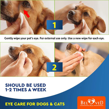 BELOVED PETS - Beloved Pets Cat & Dog Eye Wash Wipes & Tear Stain Remover 120 Toallitas - The Red Vitamin MX - Cuidado De Los Ojos De Los Perros - {{ shop.shopifyCountryName }}