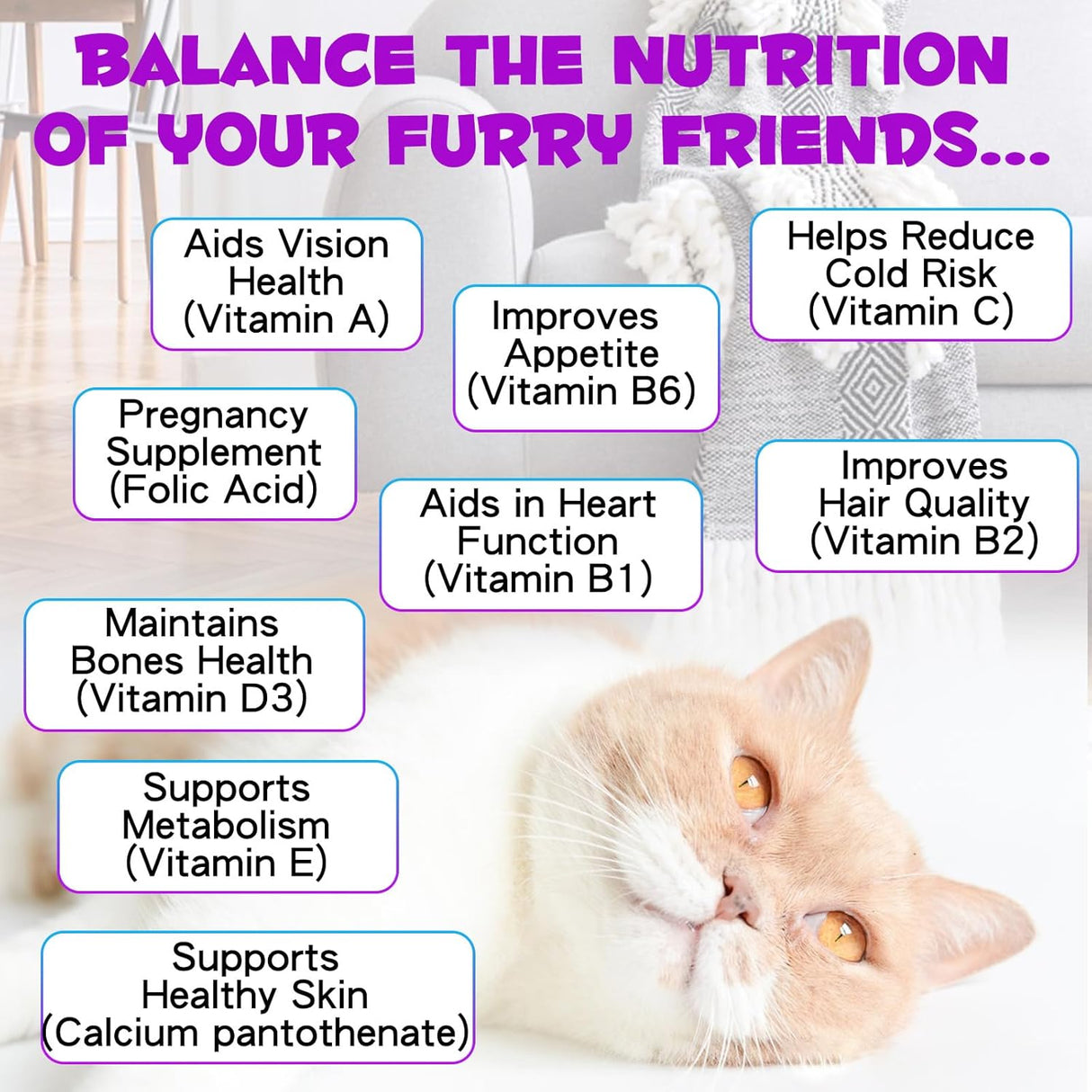 Oimmal 15-in-1 Multivitamin Drops for Cats 2 Fl.Oz.