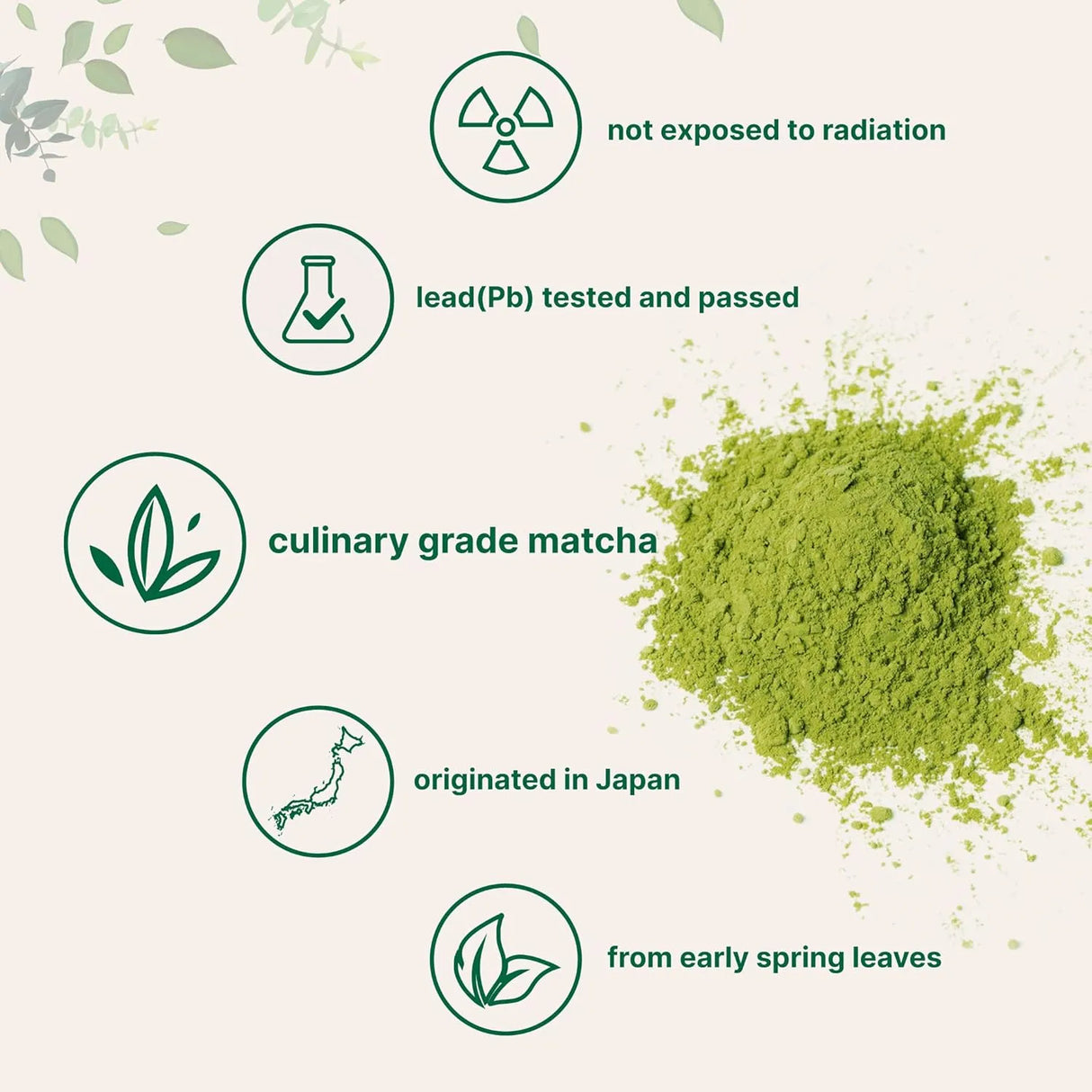 MICRO INGREDIENTS - Micro Ingredients Organic Matcha Green Tea Powder 454Gr. - The Red Vitamin MX - Suplementos Alimenticios - {{ shop.shopifyCountryName }}