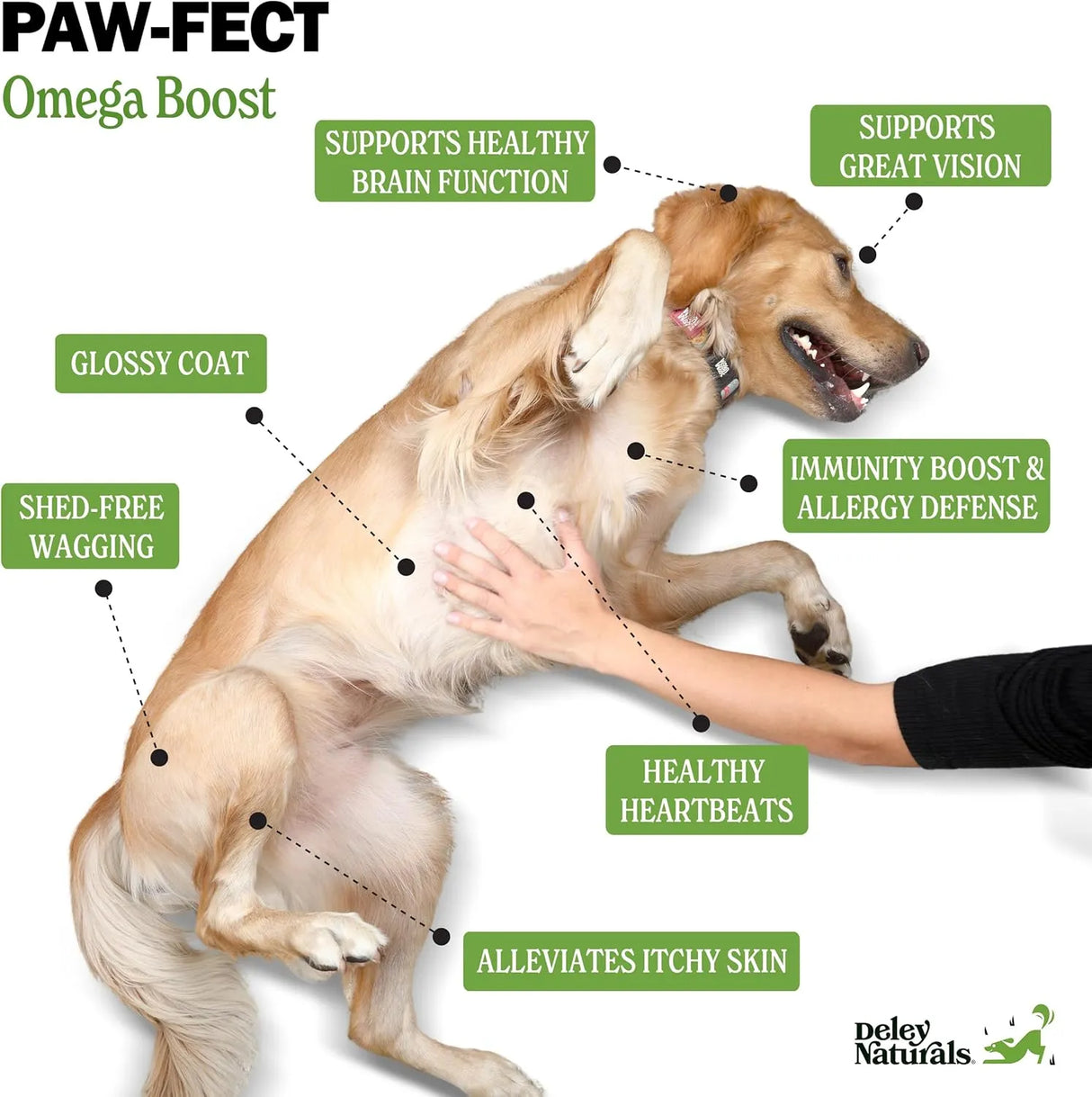 DELEY NATURALS - Deley Naturals Dog Fish Oil Icelandic 2X Omega 32 Fl.Oz. - The Red Vitamin MX - Aceite De Pescado Para Perros - {{ shop.shopifyCountryName }}