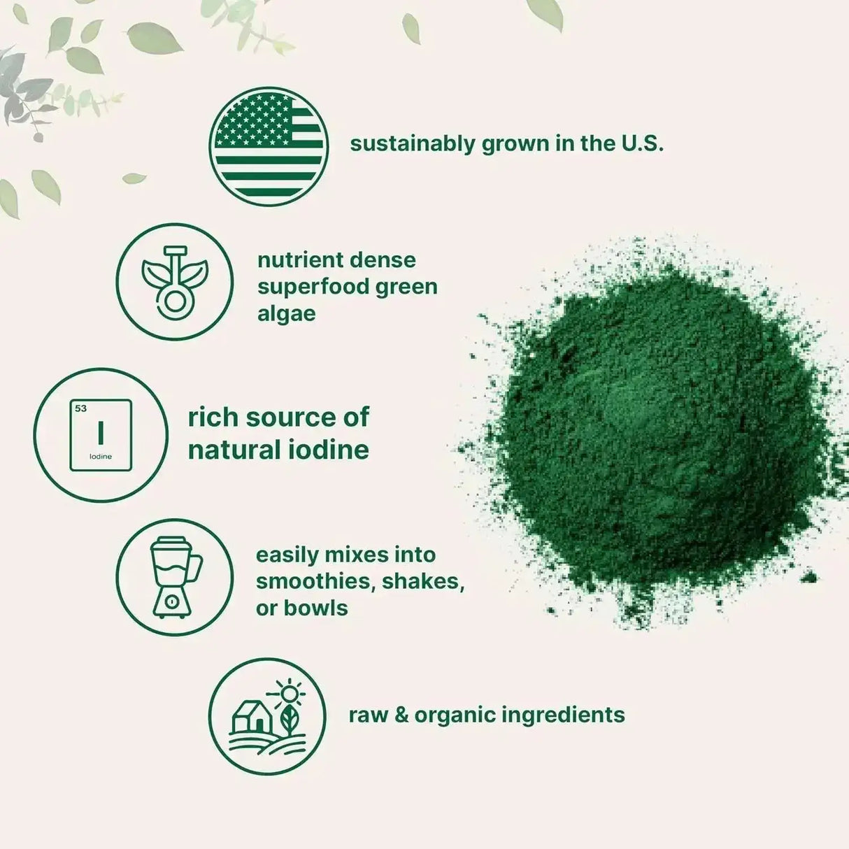 MICRO INGREDIENTS - Micro Ingredients Organic Kelp Powder 907Gr. - The Red Vitamin MX - Suplementos Alimenticios - {{ shop.shopifyCountryName }}