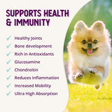 HEALTH EXTENSION - Health Extension Joint & Hip Supplement 453Gr. - The Red Vitamin MX - Cuidado De Cadera Y Articulaciones Para Perros - {{ shop.shopifyCountryName }}