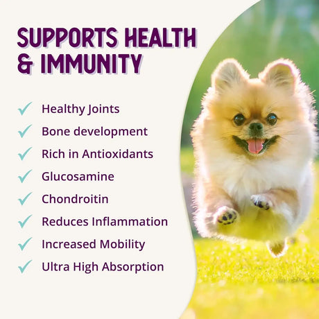 HEALTH EXTENSION - Health Extension Joint & Hip Supplement 453Gr. - The Red Vitamin MX - Cuidado De Cadera Y Articulaciones Para Perros - {{ shop.shopifyCountryName }}