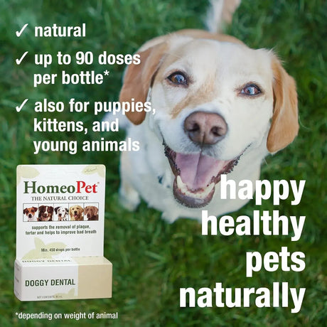 HOMEOPET - HomeoPet Doggy Dental Care 15Ml. - The Red Vitamin MX - Cuidado Dental Para Perros - {{ shop.shopifyCountryName }}