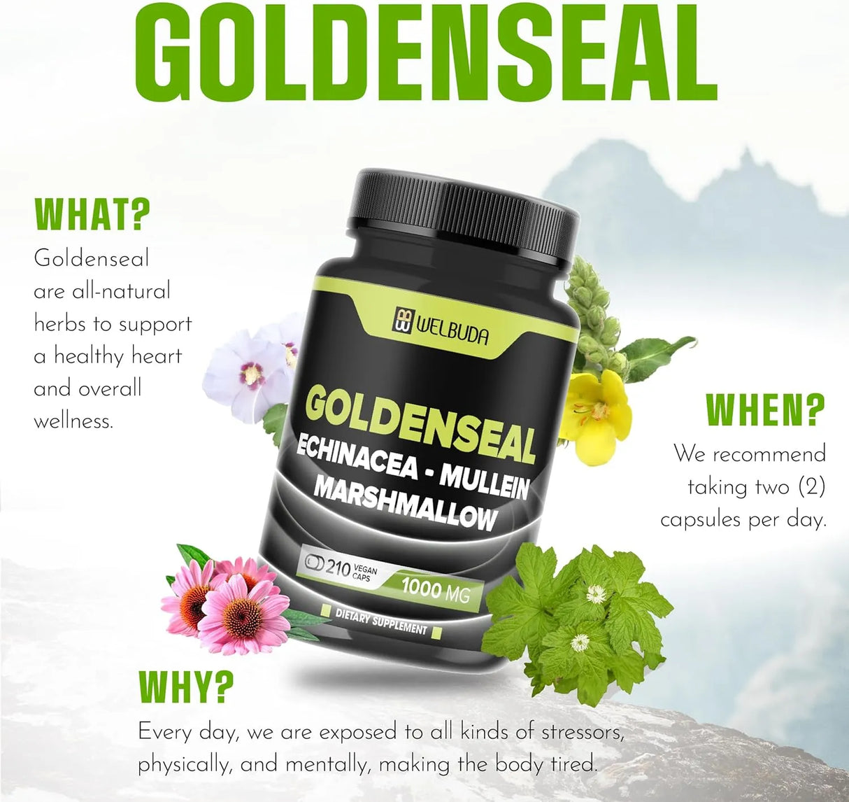 WELBUDA - WELBUDA Goldenseal Root Extract 10:1 with Echinacea, Mullein Leaf, Marshmallow 210 Capsulas - The Red Vitamin MX - Suplementos Alimenticios - {{ shop.shopifyCountryName }}