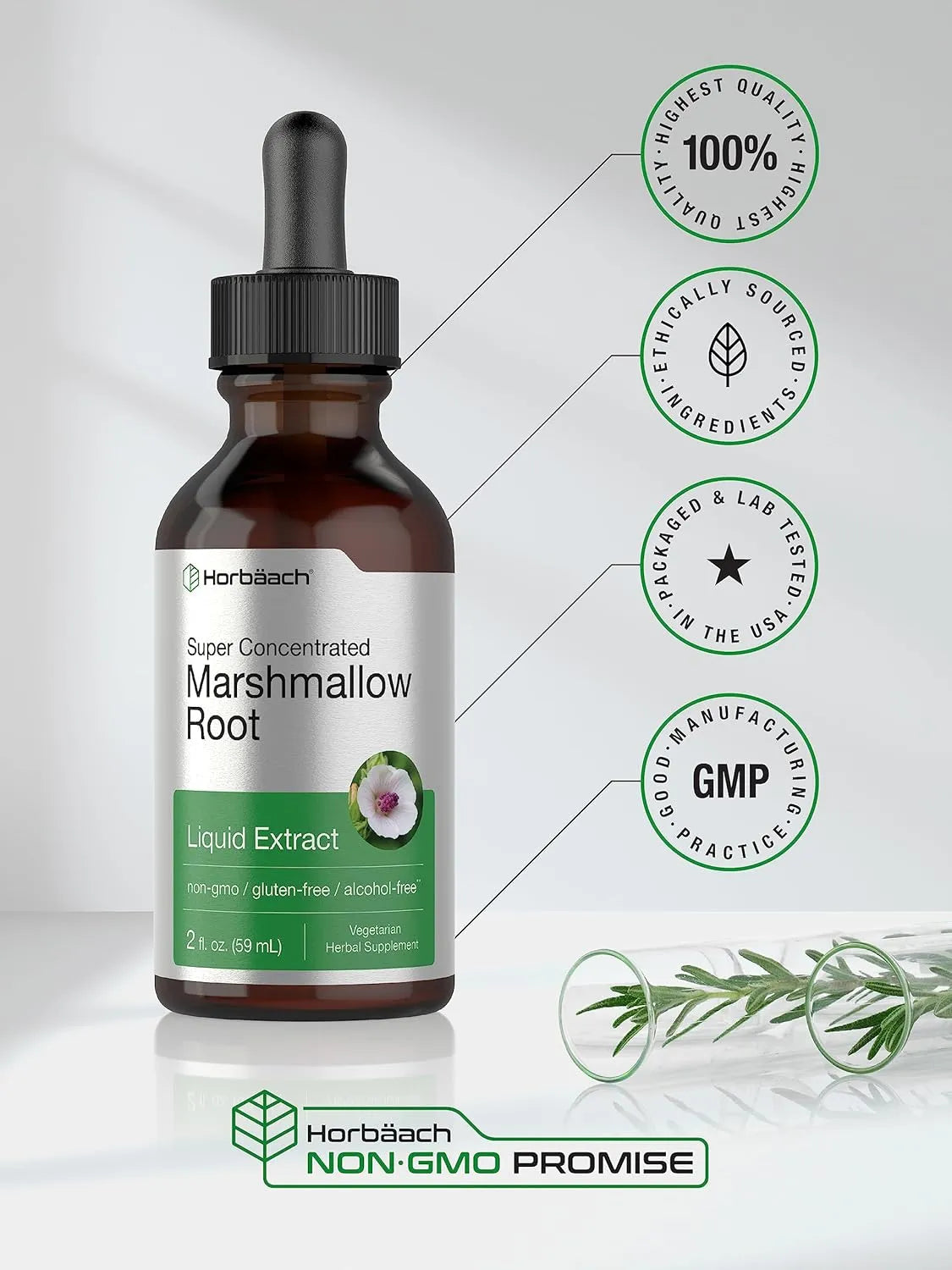 HORBAACH - Horbaach Marshmallow Root Extract Tincture 2 Fl.Oz. - The Red Vitamin MX - Suplementos Alimenticios - {{ shop.shopifyCountryName }}