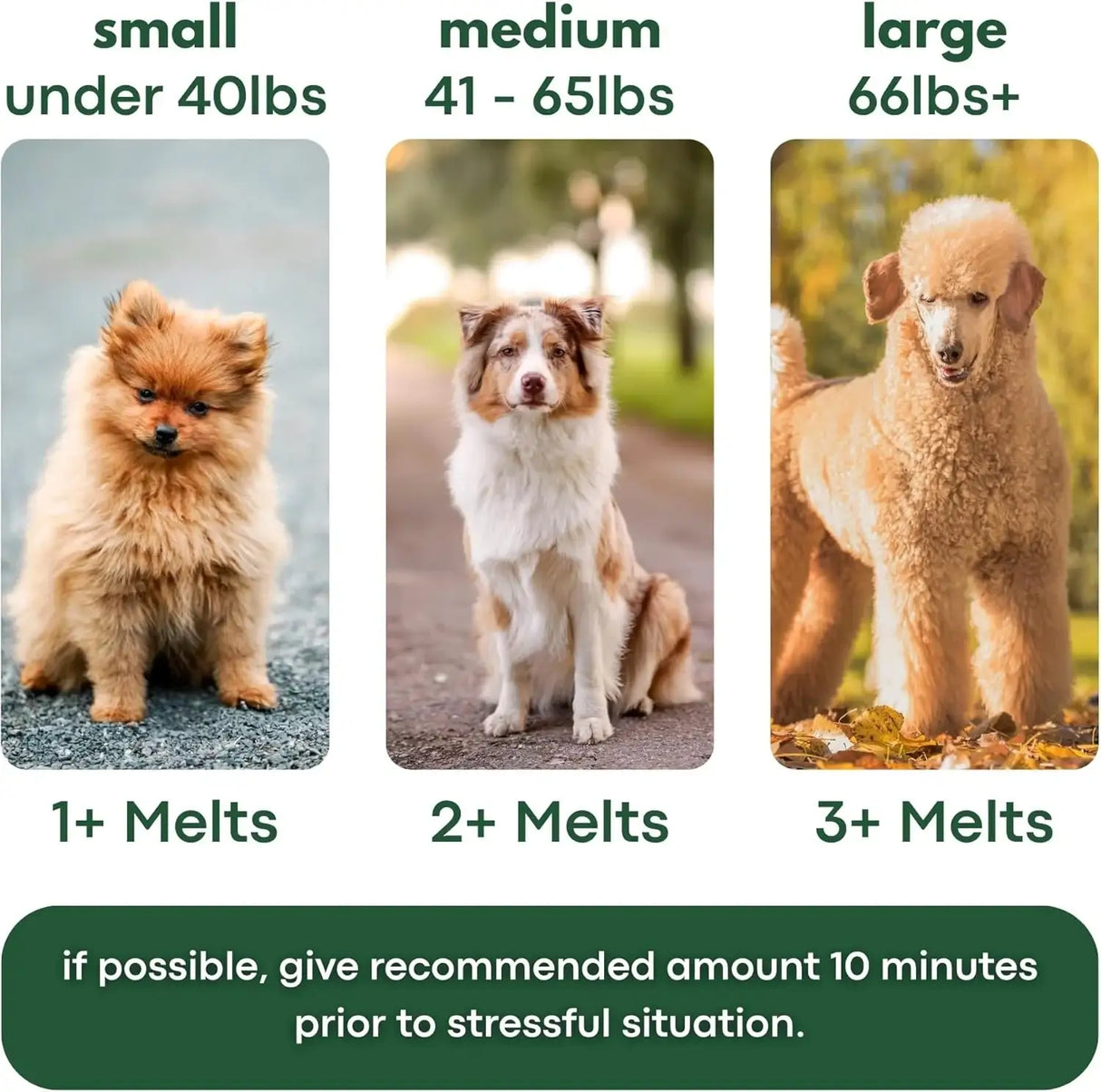 ZENMELTS - ZenMelts Dogs Anxiety Relief Calming 30 Strips - The Red Vitamin MX - Relajantes Para Perros - {{ shop.shopifyCountryName }}