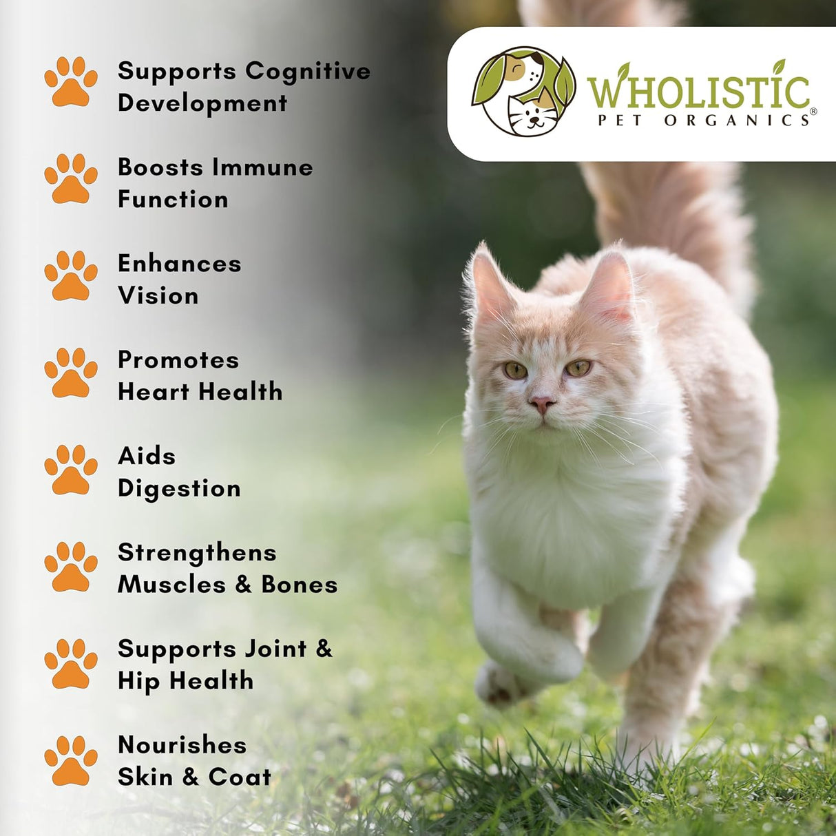 Wholistic Pet Organics Feline Complete Organic Pumpkin 227Gr.