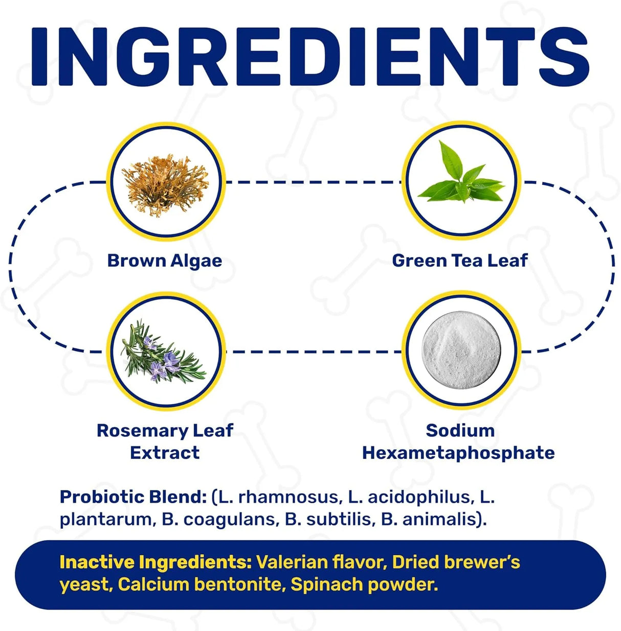 CHEWY MAX - Chewy Max Dog Teeth Cleaning Dental Powder 100Gr. - The Red Vitamin MX - Cuidado Dental Para Perros - {{ shop.shopifyCountryName }}