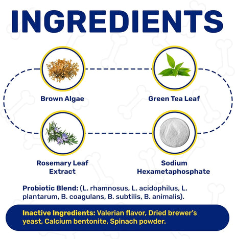 CHEWY MAX - Chewy Max Dog Teeth Cleaning Dental Powder 100Gr. - The Red Vitamin MX - Cuidado Dental Para Perros - {{ shop.shopifyCountryName }}